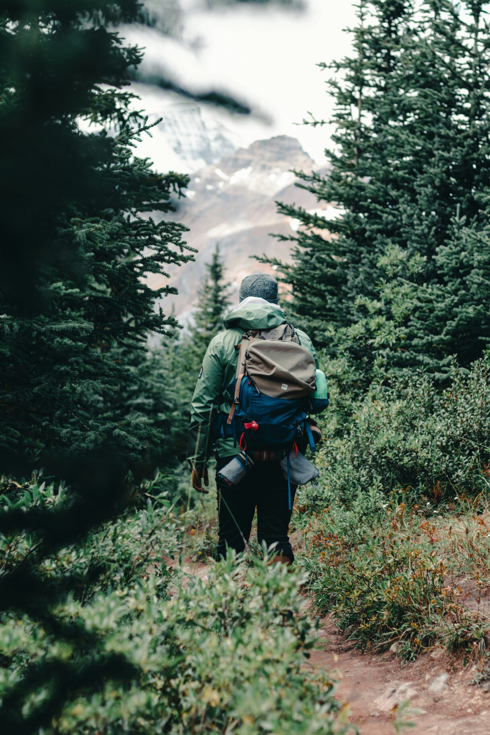 ali-kazal-5X7xSVbSfHs-unsplash